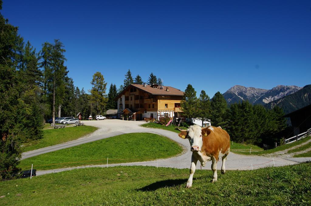 Chalet Frapes San Martino in Badia Eksteriør billede